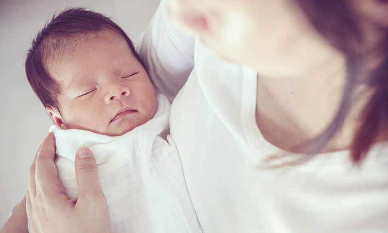 Main Content Intro Image