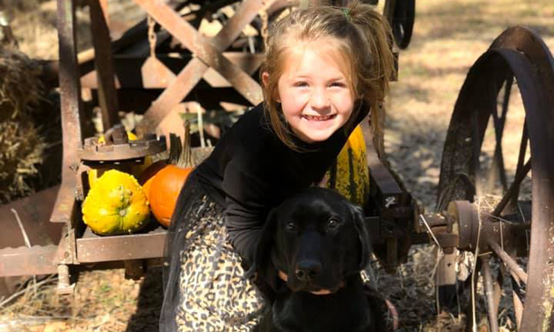 Main Content Intro Image