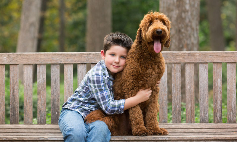 Main Content Intro Image