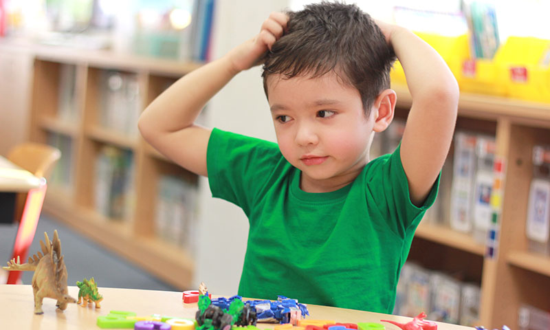 Main Content Intro Image