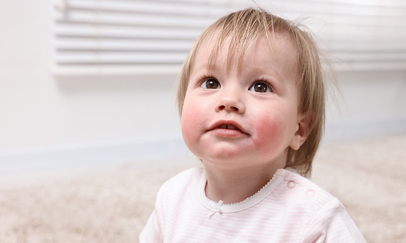 Main Content Intro Image