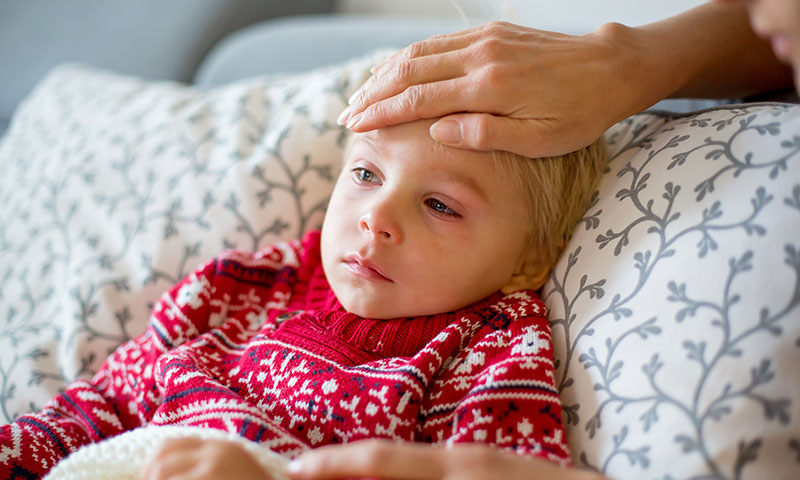 Main Content Intro Image