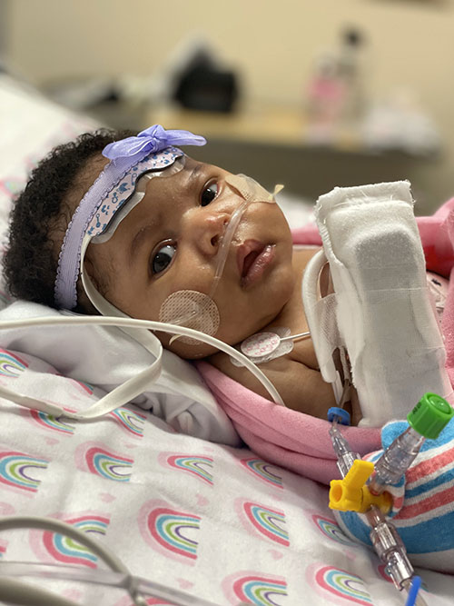 20211223_032253030_iOS-500x667