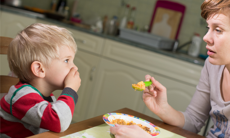 Main Content Intro Image