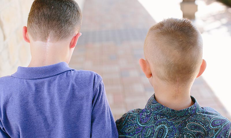 Main Content Intro Image