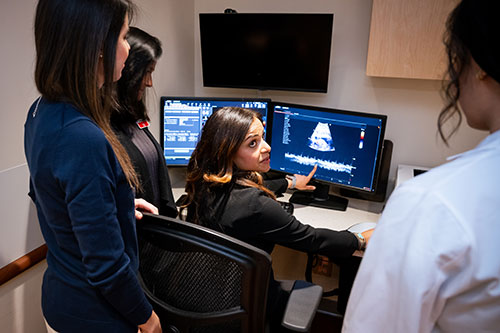 Fetal-Heart(J2310170723)-500x333