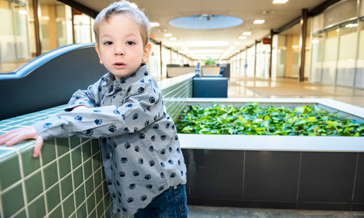 related content image